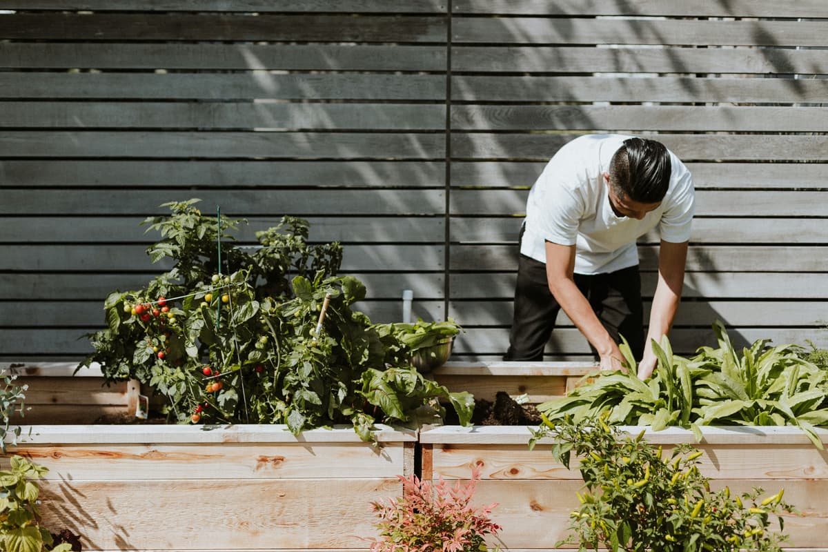 Discover the Top 4 Gardening Gadgets of 2024